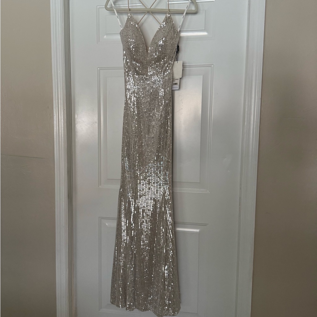 Jadore Gown Silver Nude Nwt
